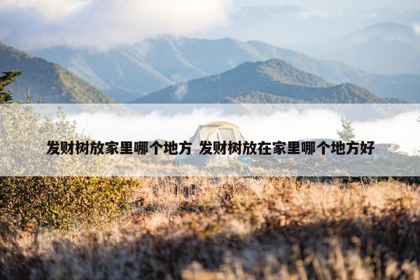 发财树放家里哪个地方 发财树放在家里哪个地方好