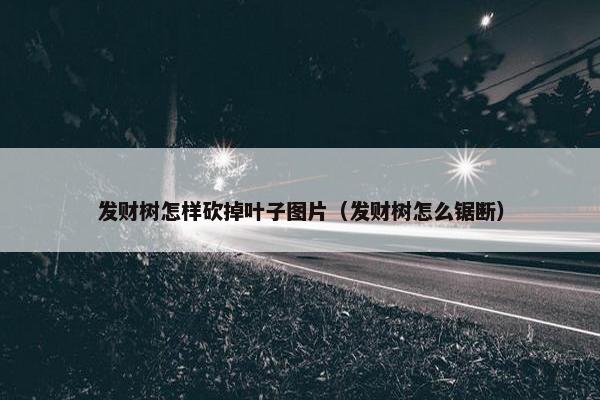 发财树怎样砍掉叶子图片（发财树怎么锯断）