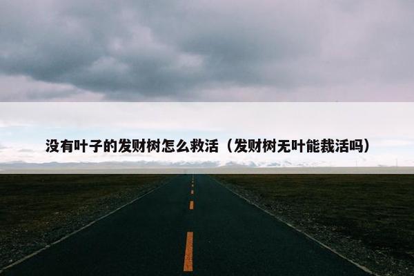 没有叶子的发财树怎么救活（发财树无叶能裁活吗）