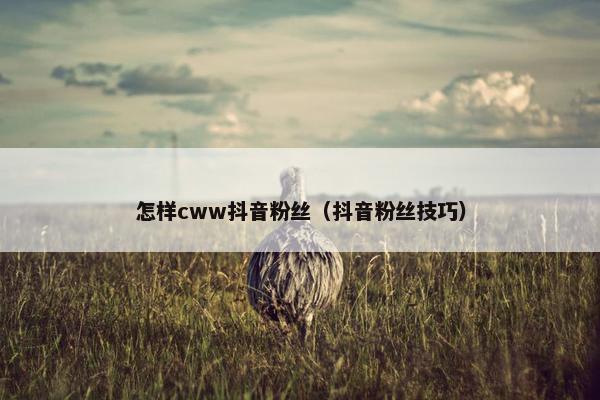 怎样cww抖音粉丝（抖音粉丝技巧）