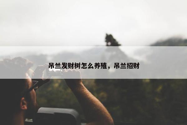 吊兰发财树怎么养殖，吊兰招财