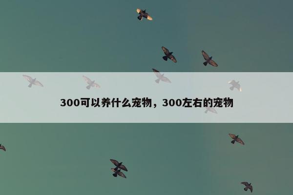 300可以养什么宠物，300左右的宠物