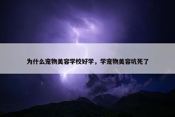 为什么宠物美容学校好学，学宠物美容坑死了