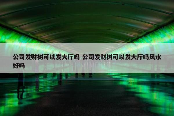 公司发财树可以发大厅吗 公司发财树可以发大厅吗风水好吗