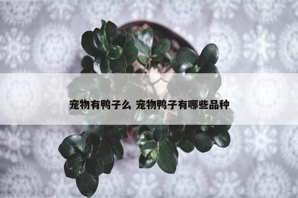 宠物有鸭子么 宠物鸭子有哪些品种