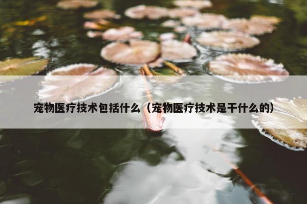 宠物医疗技术包括什么（宠物医疗技术是干什么的）