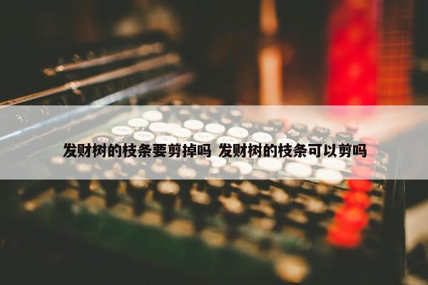 发财树的枝条要剪掉吗 发财树的枝条可以剪吗