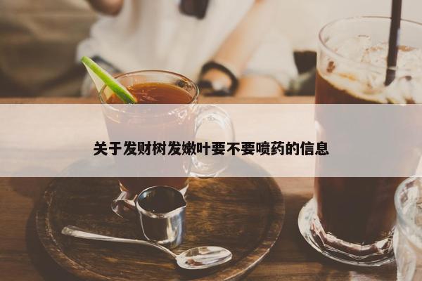 关于发财树发嫩叶要不要喷药的信息