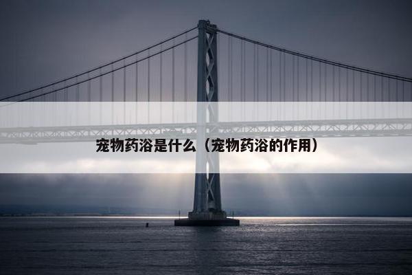 宠物药浴是什么（宠物药浴的作用）