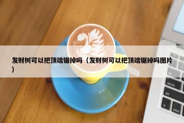 发财树可以把顶端锯掉吗（发财树可以把顶端锯掉吗图片）