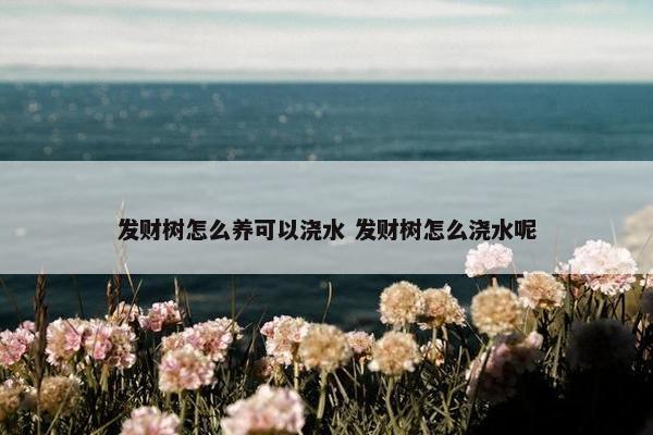 发财树怎么养可以浇水 发财树怎么浇水呢