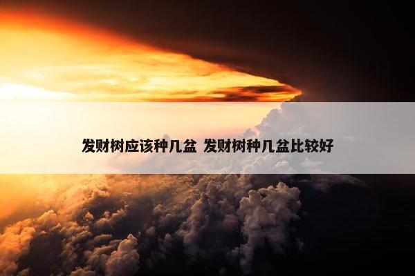 发财树应该种几盆 发财树种几盆比较好