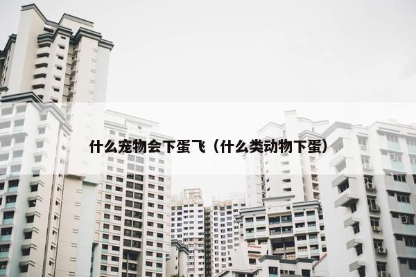 什么宠物会下蛋飞（什么类动物下蛋）