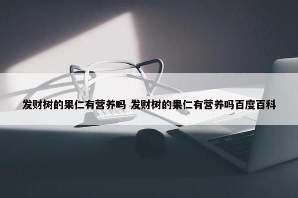 发财树的果仁有营养吗 发财树的果仁有营养吗百度百科