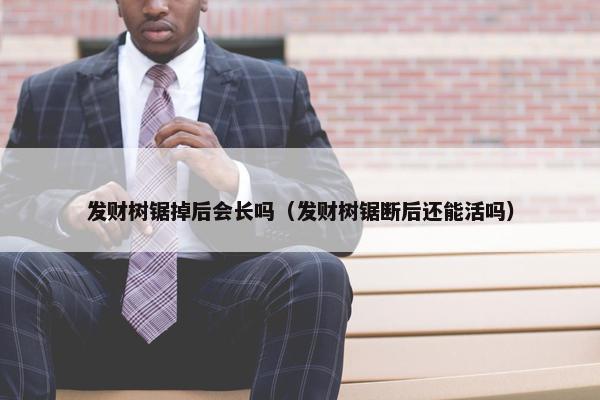 发财树锯掉后会长吗（发财树锯断后还能活吗）