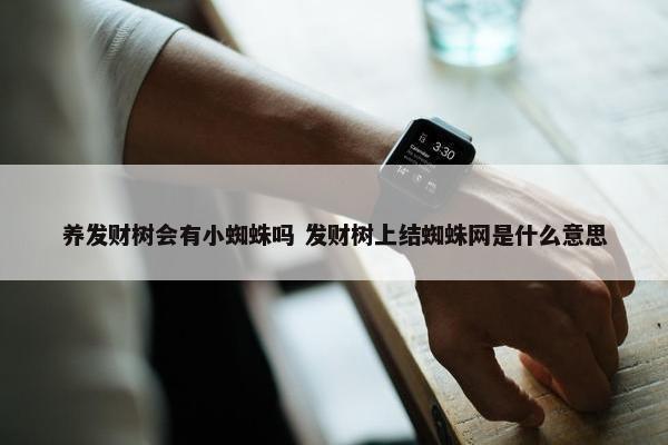 养发财树会有小蜘蛛吗 发财树上结蜘蛛网是什么意思