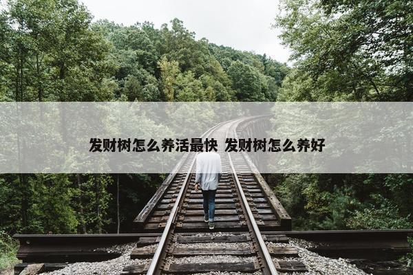 发财树怎么养活最快 发财树怎么养好