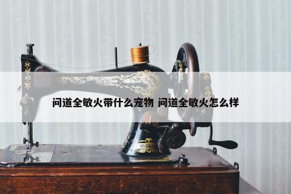 问道全敏火带什么宠物 问道全敏火怎么样