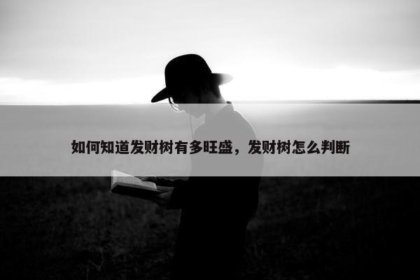 如何知道发财树有多旺盛，发财树怎么判断