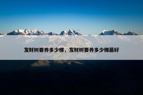 发财树要养多少棵，发财树要养多少棵最好