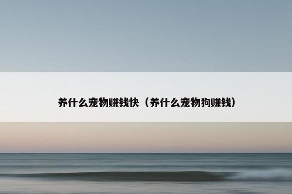 养什么宠物赚钱快（养什么宠物狗赚钱）