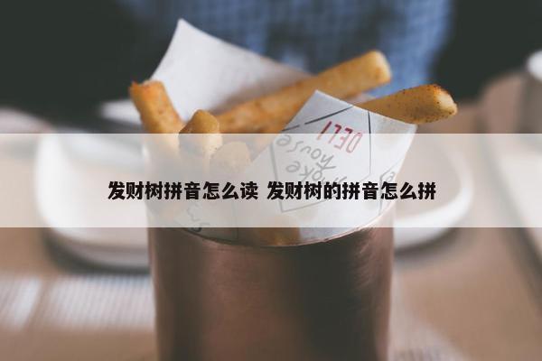 发财树拼音怎么读 发财树的拼音怎么拼