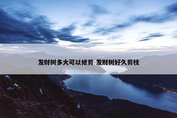 发财树多大可以修剪 发财树好久剪枝