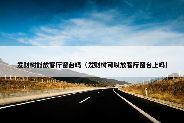 发财树能放客厅窗台吗（发财树可以放客厅窗台上吗）