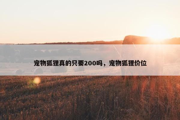 宠物狐狸真的只要200吗，宠物狐狸价位