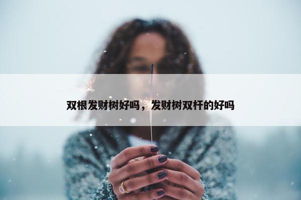 双根发财树好吗，发财树双杆的好吗