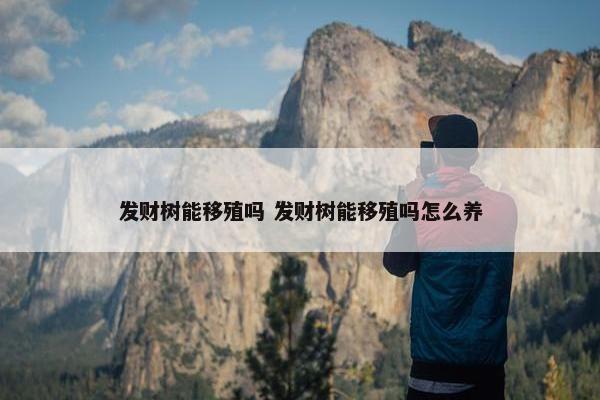 发财树能移殖吗 发财树能移殖吗怎么养