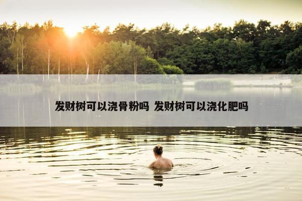 发财树可以浇骨粉吗 发财树可以浇化肥吗