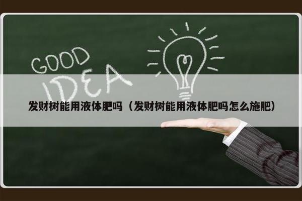 发财树能用液体肥吗（发财树能用液体肥吗怎么施肥）