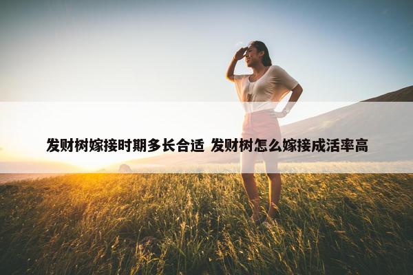 发财树嫁接时期多长合适 发财树怎么嫁接成活率高