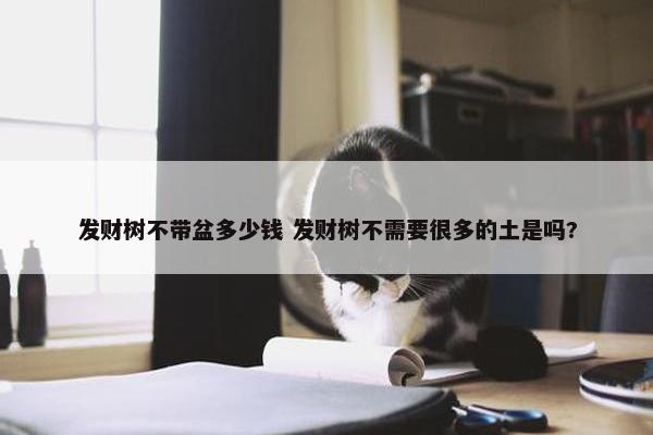 发财树不带盆多少钱 发财树不需要很多的土是吗?