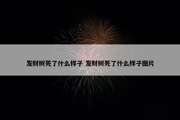 发财树死了什么样子 发财树死了什么样子图片