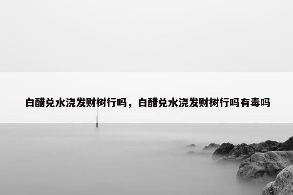 白醋兑水浇发财树行吗，白醋兑水浇发财树行吗有毒吗