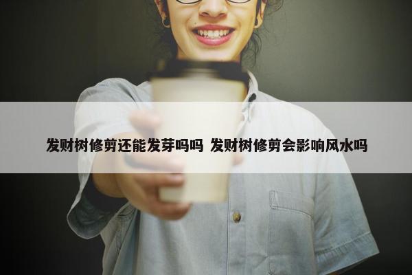 发财树修剪还能发芽吗吗 发财树修剪会影响风水吗