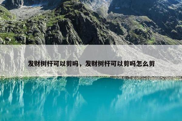 发财树杆可以剪吗，发财树杆可以剪吗怎么剪