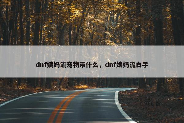 dnf姨妈流宠物带什么，dnf姨妈流白手