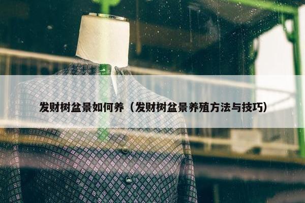 发财树盆景如何养（发财树盆景养殖方法与技巧）