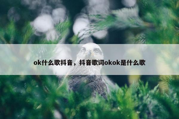 ok什么歌抖音，抖音歌词okok是什么歌