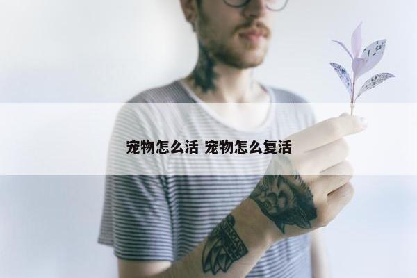 宠物怎么活 宠物怎么复活