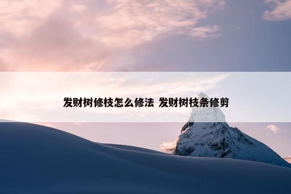 发财树修枝怎么修法 发财树枝条修剪