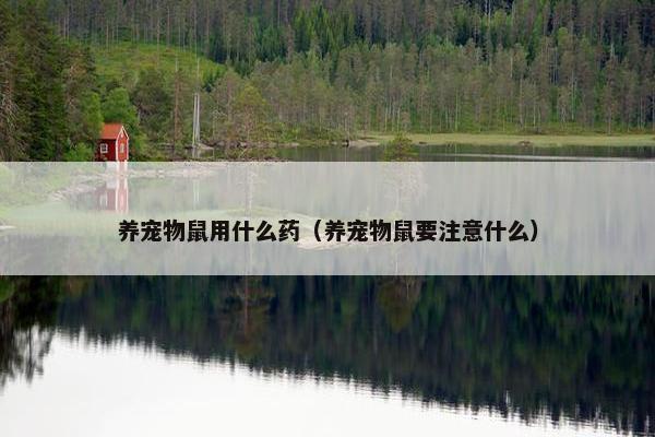 养宠物鼠用什么药（养宠物鼠要注意什么）