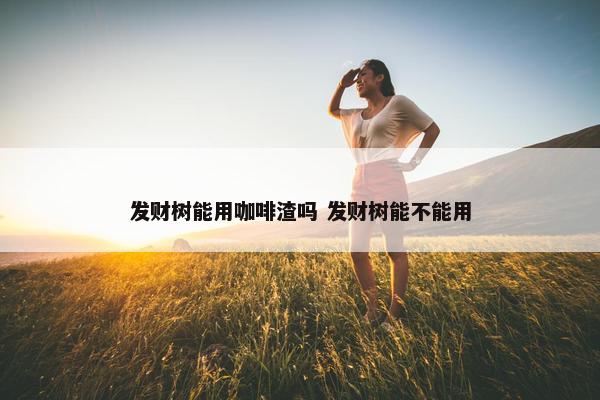 发财树能用咖啡渣吗 发财树能不能用