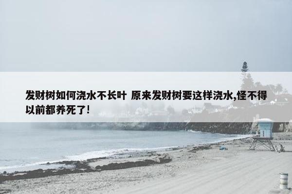 发财树如何浇水不长叶 原来发财树要这样浇水,怪不得以前都养死了!