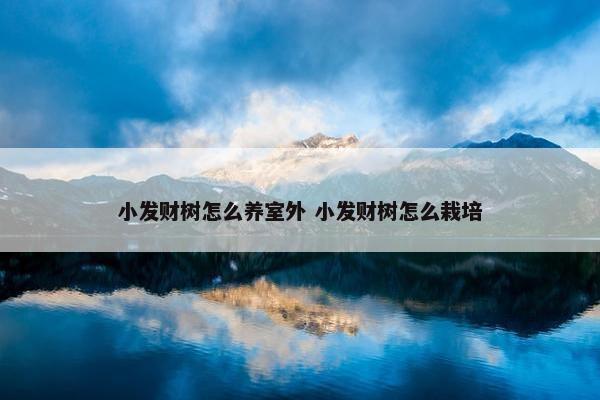 小发财树怎么养室外 小发财树怎么栽培