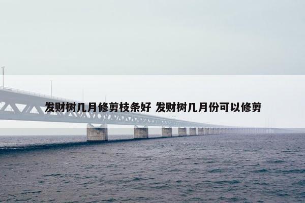 发财树几月修剪枝条好 发财树几月份可以修剪