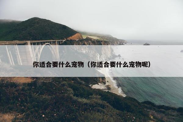 你适合要什么宠物（你适合要什么宠物呢）